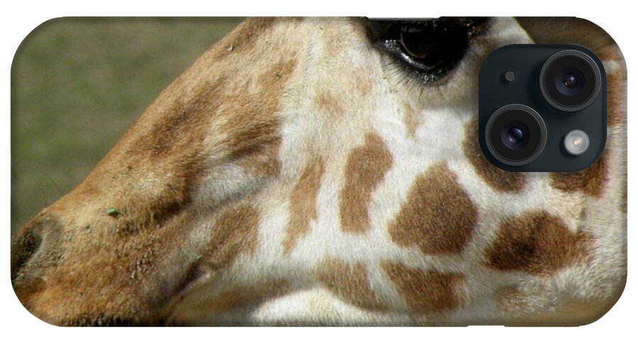 Giraffe iPhone Case featuring the photograph Marks Of Beauty by Kim Galluzzo