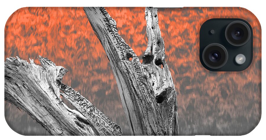 Tree iPhone Case featuring the photograph Melting Ghosts by Mark Ross