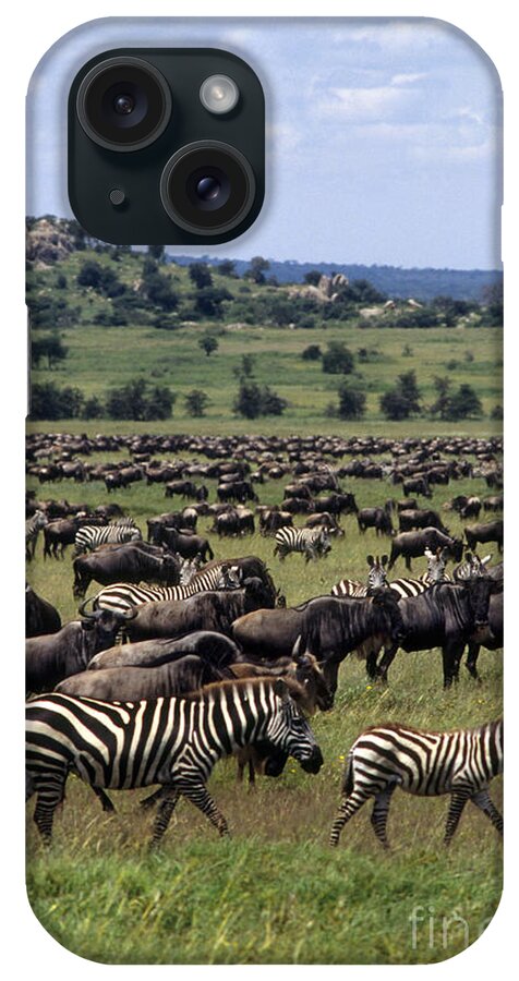 Eco-tourism iPhone Case featuring the photograph Migration - Serengeti Plains Tanzania by Craig Lovell