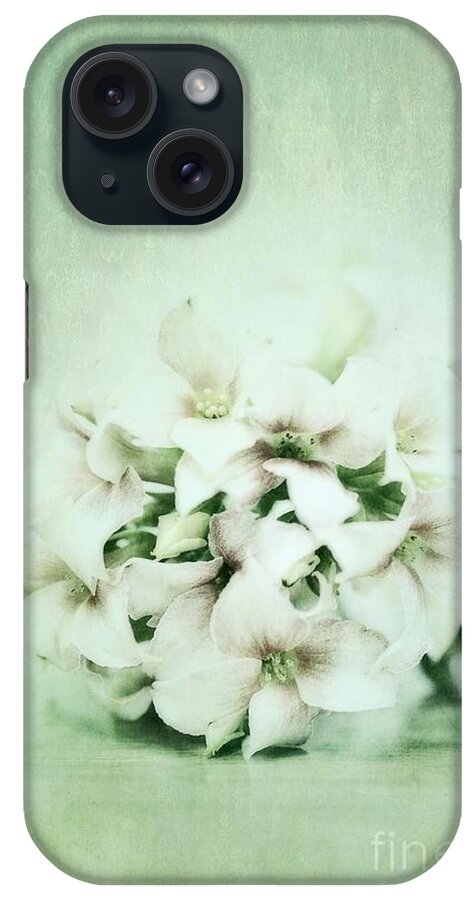 Kalanchoe iPhone Case featuring the photograph Mint Green by Priska Wettstein