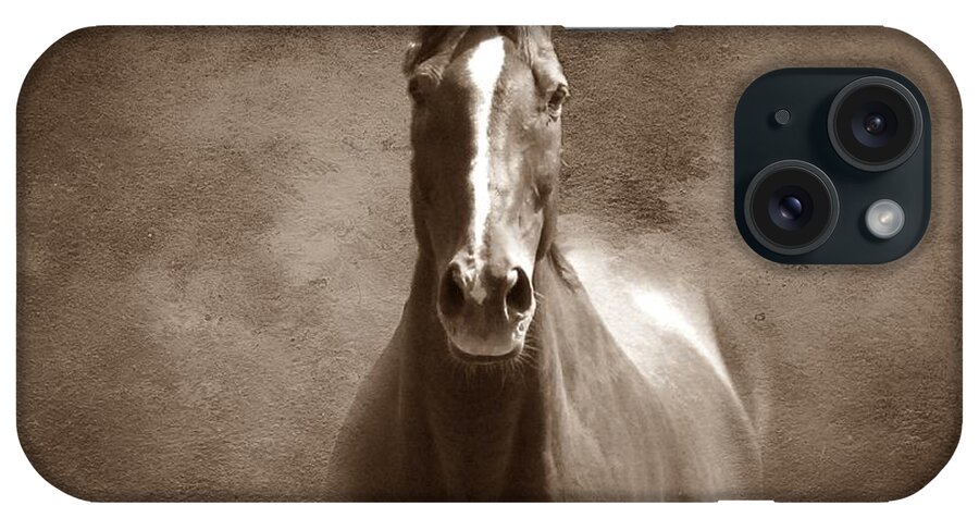 Horse iPhone Case featuring the photograph Misty in the Moonlight S by David Dehner