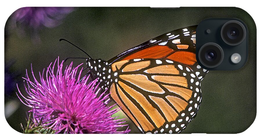 Nature iPhone 15 Case featuring the photograph Monarch on Thistle 13F by Gerry Gantt