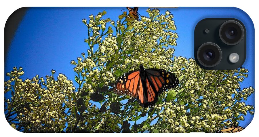 Butterfly iPhone Case featuring the photograph Monarch Show by Sheri McLeroy
