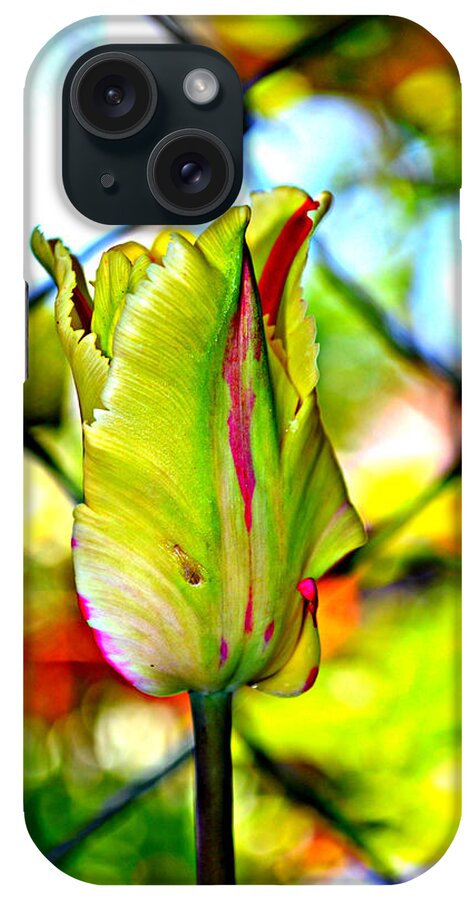 Parrot Tulip iPhone Case featuring the photograph Mood Swing by Diane montana Jansson