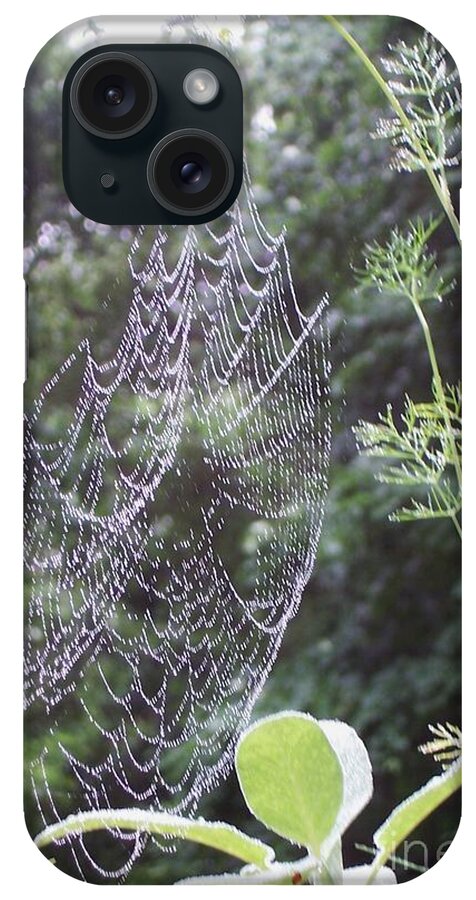 Dew Covered Spider Web iPhone Case featuring the photograph Morning Dew by Michelle Welles