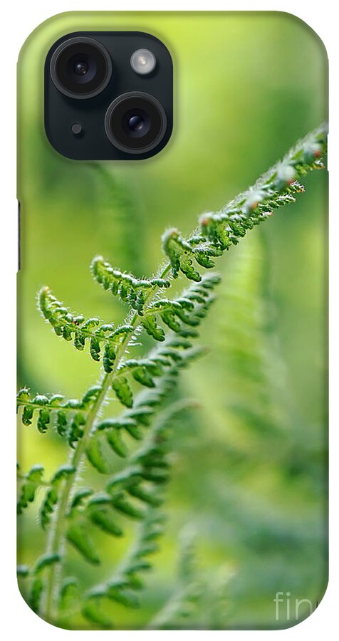 Fern iPhone Case featuring the photograph Mountain Fern by Lois Bryan