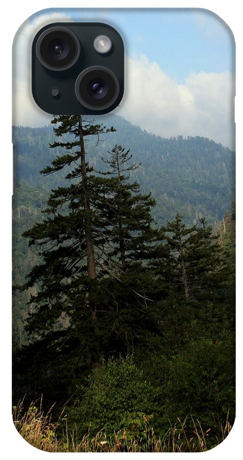 Mountain iPhone Case featuring the photograph Mountain View by Karen Harrison Brown