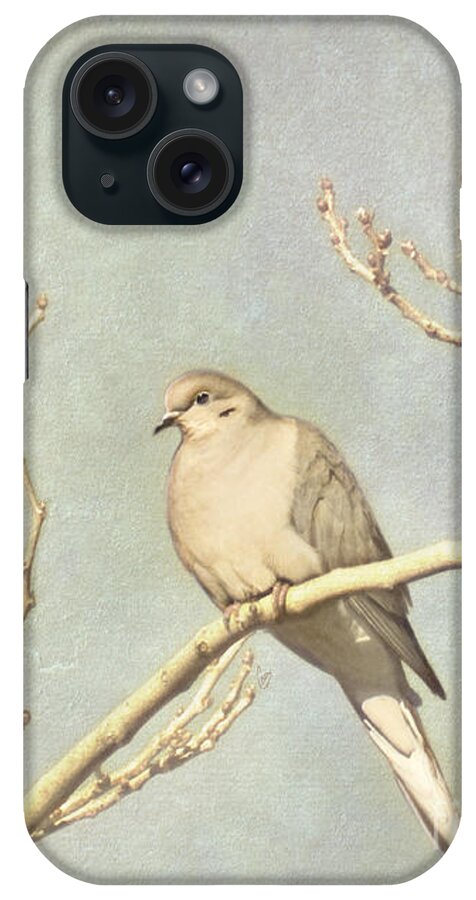 Dove iPhone Case featuring the photograph Mourning dove in winter by Cindy Garber Iverson