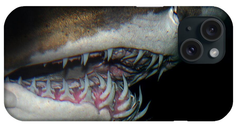 Shark iPhone Case featuring the photograph Mouthy by Anthony Jones