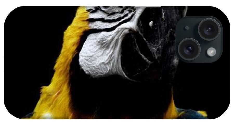 Parrot iPhone Case featuring the photograph Mr Polly by Kim Galluzzo