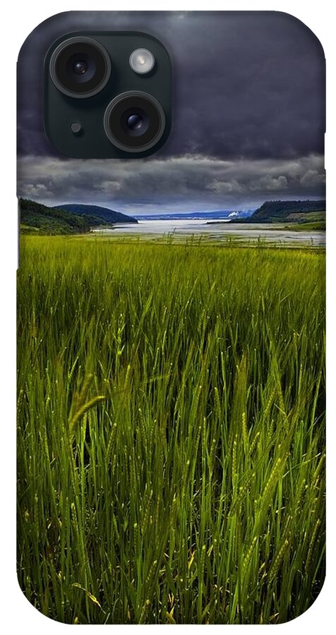 Munlochy Bay iPhone Case featuring the photograph Munlochy bay by Joe Macrae