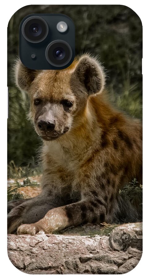 Spotted Hyena iPhone Case featuring the photograph My Friends Call Me Spike by DigiArt Diaries by Vicky B Fuller
