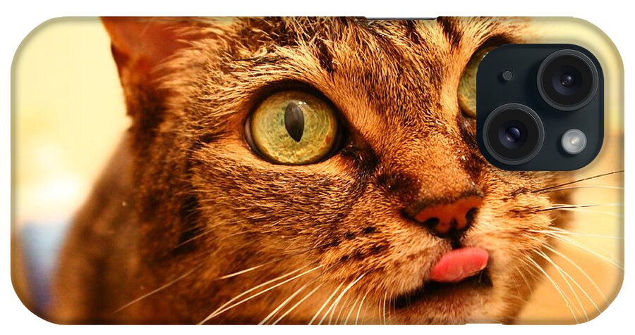 Cat iPhone Case featuring the photograph Nana Boo Boo by Catie Canetti