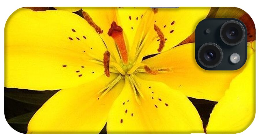 Beautiful iPhone Case featuring the photograph #nature #flower #beautiful #outside by Timmy Tran