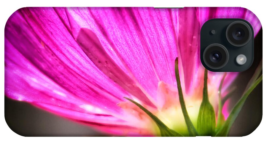 Nature iPhone Case featuring the photograph Nature in Neon by Lynne Jenkins