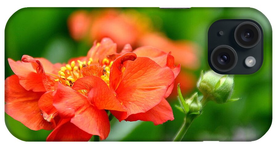 Flowers iPhone Case featuring the photograph Never Boring Red and Green by Tatyana Searcy