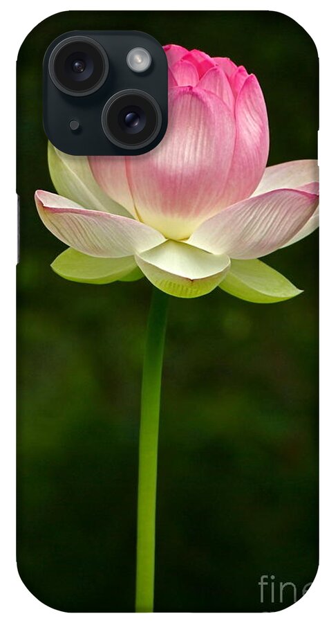 Lotus iPhone Case featuring the photograph No Less Magical by Byron Varvarigos