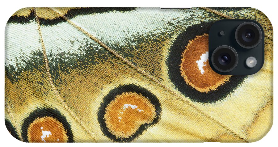 Mp iPhone Case featuring the photograph Northern Jungle Queen Stichophthalma by Gerry Ellis