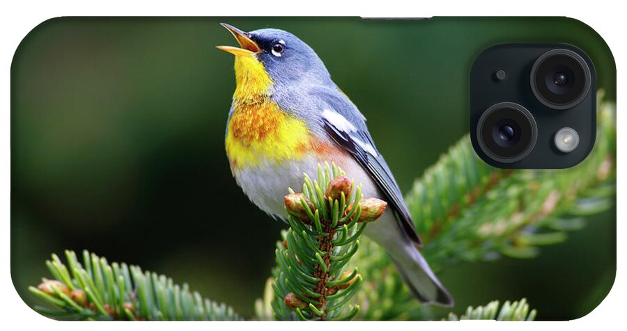 Mp iPhone Case featuring the photograph Northern Parula Parula Americana Male by Scott Leslie