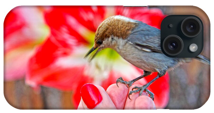 Nuthatch Bird Photography iPhone Case featuring the photograph Nuthatch Bird Friend by Luana K Perez