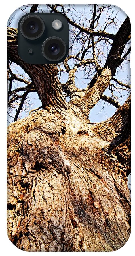 Nature iPhone Case featuring the photograph Oak Tree by Larry Ricker