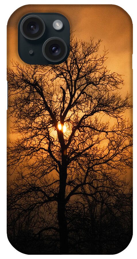 Art iPhone Case featuring the photograph Oak Tree Sunburst by Michael Dougherty