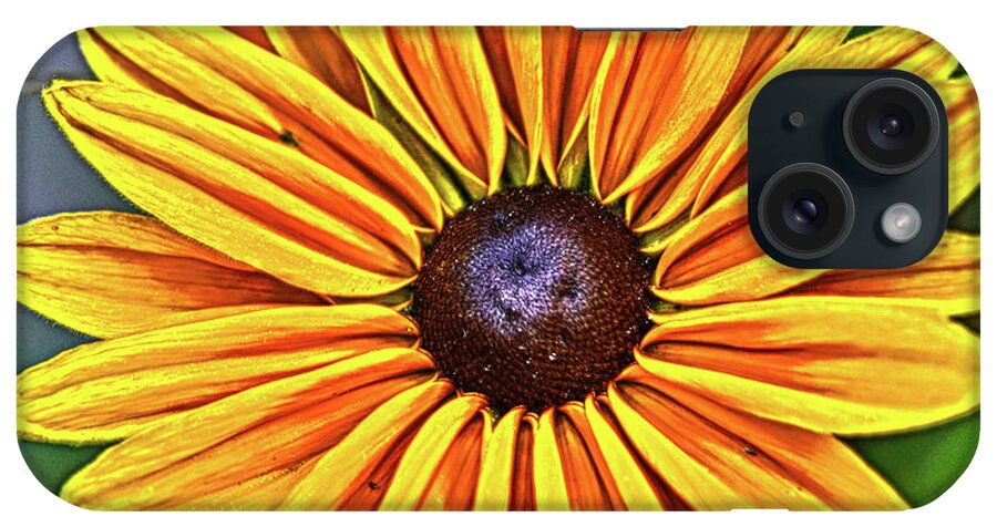 Colorado iPhone Case featuring the photograph Old Yeller by Paul Beckelheimer