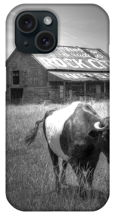 Cow iPhone Case featuring the photograph On the move by David Troxel