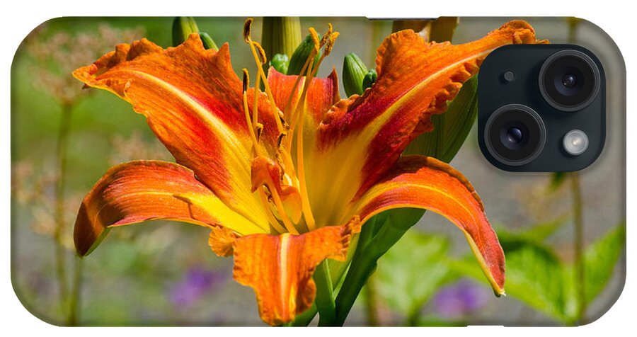 Red iPhone Case featuring the photograph Orange Day Lily by Tikvah's Hope