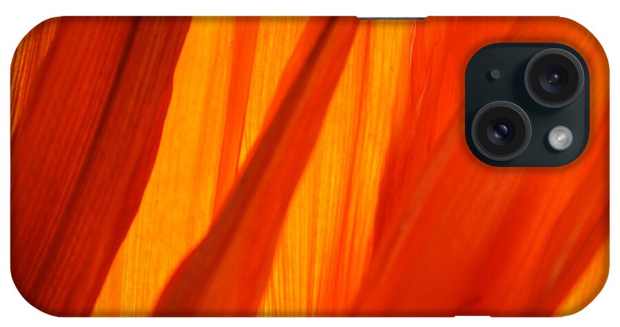 Orange iPhone Case featuring the photograph Orange Sunshine by Bobby Villapando
