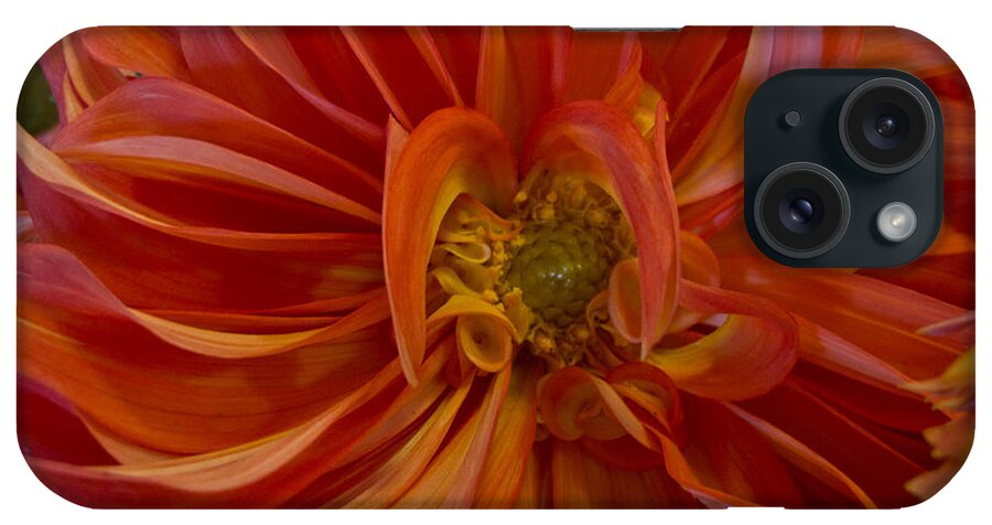 Flower iPhone Case featuring the photograph Orange You Happy by Arlene Carmel