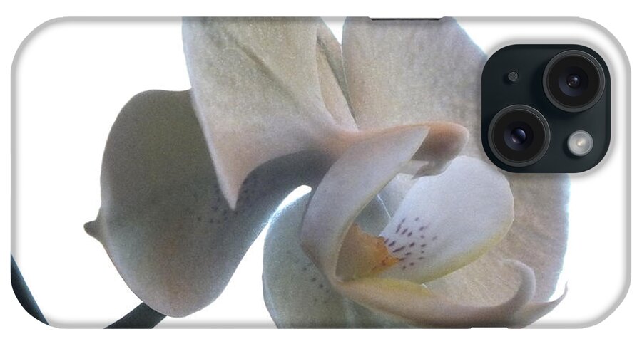 Flowers iPhone Case featuring the photograph Orchids 1 by Mike McGlothlen