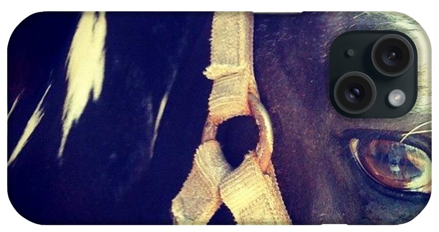 Horse iPhone Case featuring the photograph Oreo. :) #horse #head #eye #halter by Emily W
