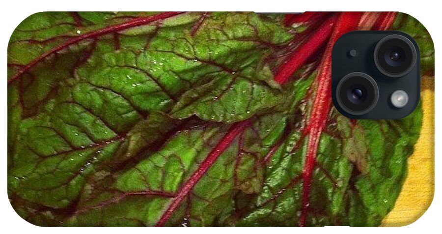  iPhone Case featuring the photograph Organic Swiss Chard From My Schools by Travis Sevilla