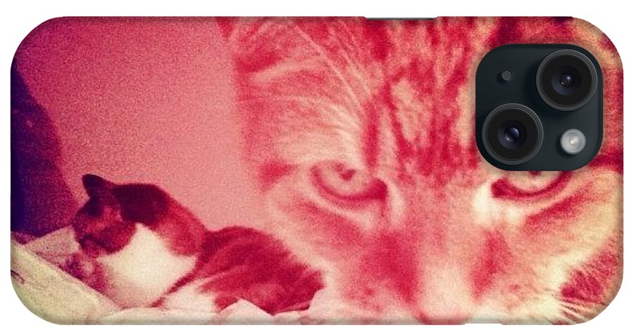  iPhone Case featuring the photograph Oscar And Ellie by Michael James