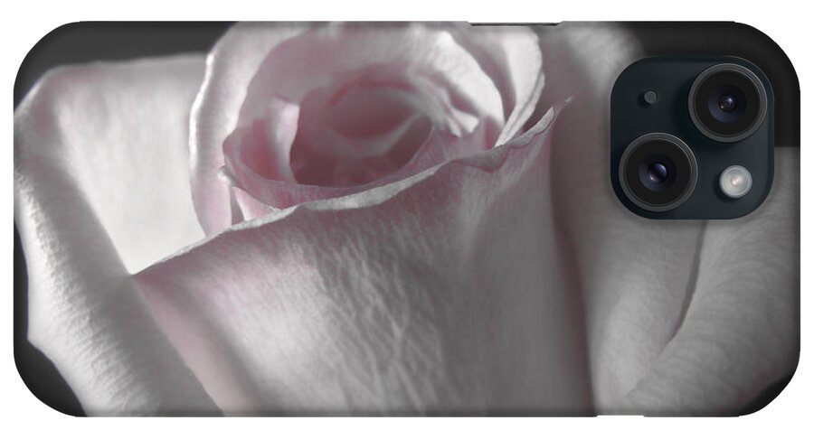 Nature iPhone Case featuring the photograph Pale Pink rose greeting card Mother's Day by Debbie Portwood