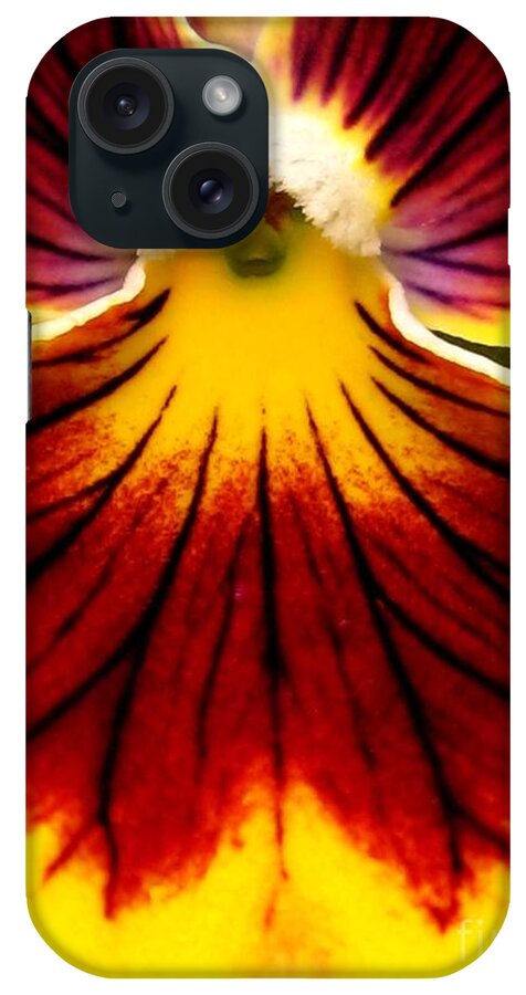 Pansy iPhone Case featuring the photograph Pansy named Imperial Gold Princess by J McCombie