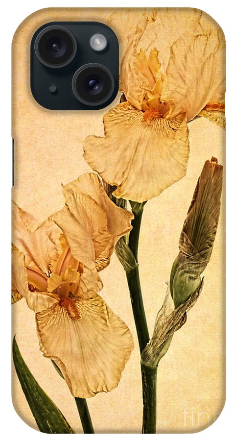 Iris iPhone Case featuring the photograph Peach Iris Germanica by Ann Garrett