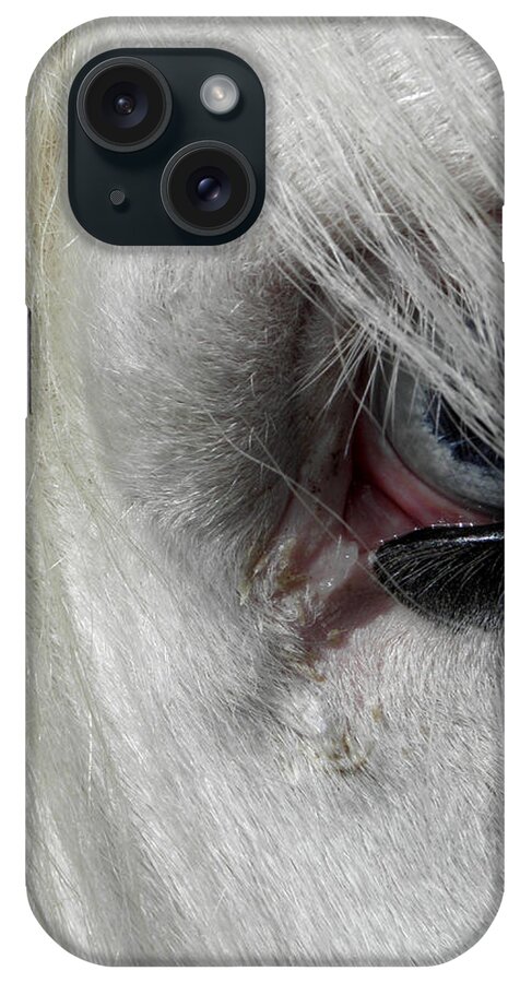 Gypsy Vanner Horse iPhone Case featuring the photograph Peaking Thru With Eyes So Blue by Kim Galluzzo