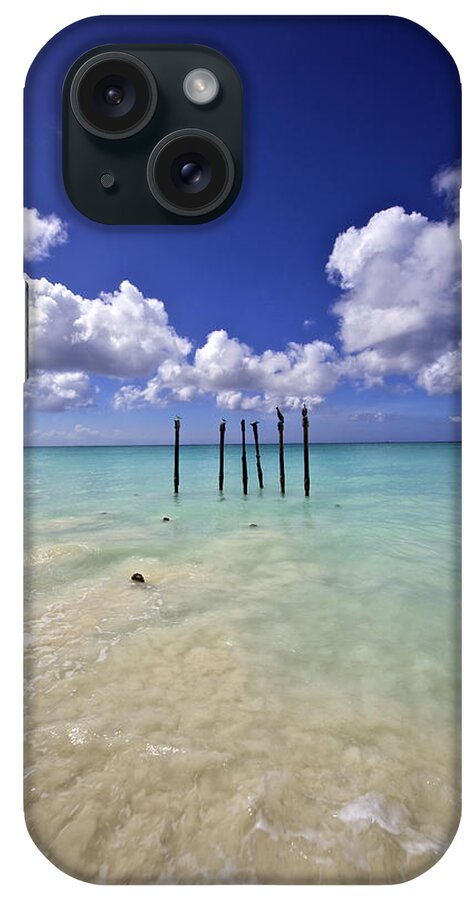 Aruba iPhone Case featuring the photograph Pelicans of Sunny Aruba by David Letts