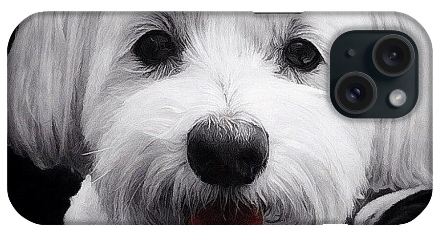 Petstagram iPhone Case featuring the photograph Pelle by Natasha Marco