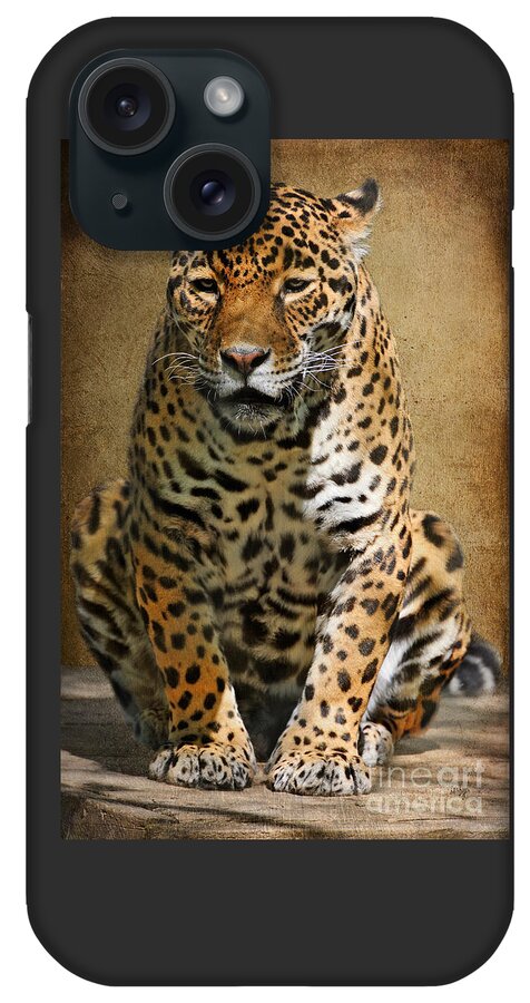 Jaguar iPhone Case featuring the photograph Pensive by Lois Bryan