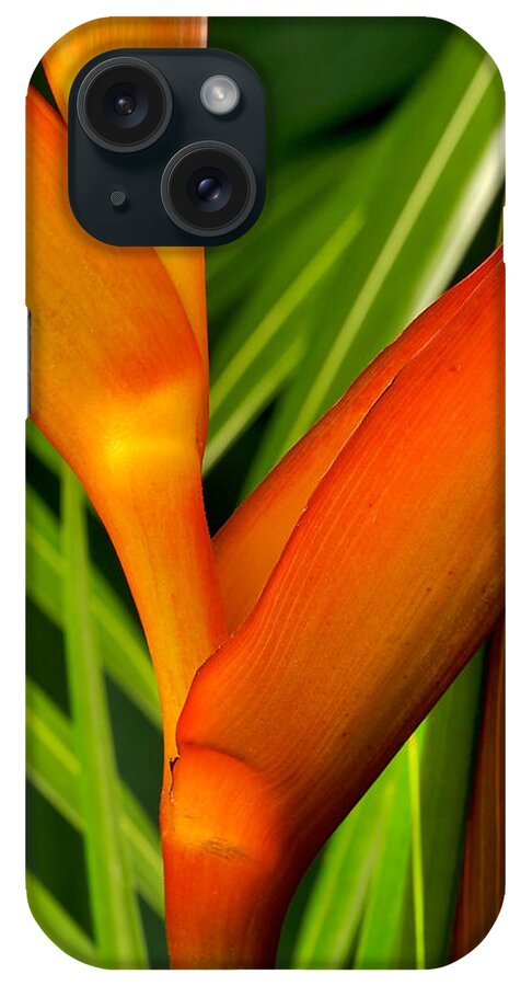 Flowers iPhone Case featuring the photograph Photograph of a Parrot Flower Heliconia by Perla Copernik