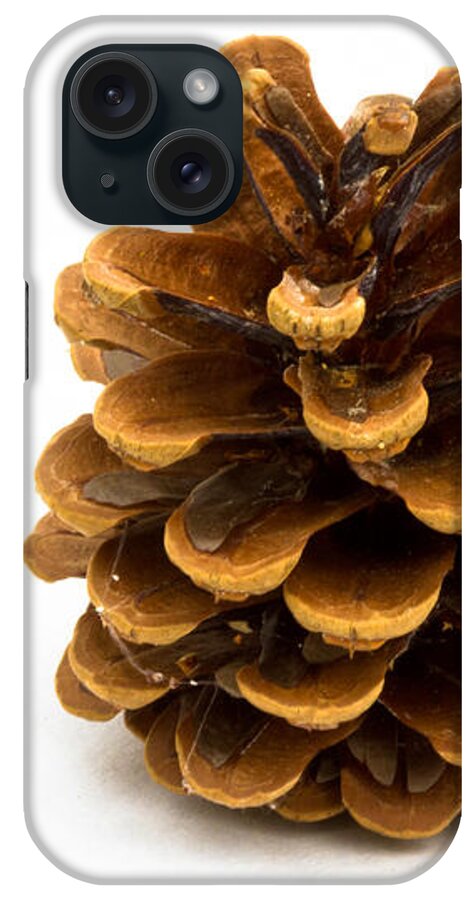 Pine Cone iPhone Case featuring the photograph Pine cone by Jean Noren