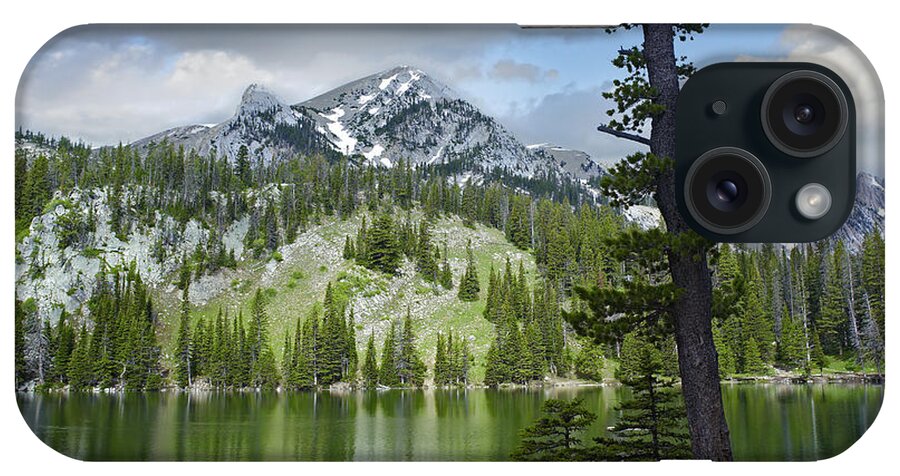 00176885 iPhone Case featuring the photograph Pine Trees Reflected In Fairy Lake by Tim Fitzharris