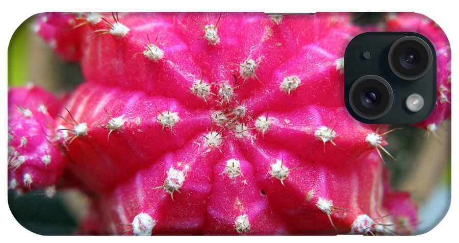 Flower iPhone Case featuring the photograph Pink Cactus by Ausra Huntington nee Paulauskaite