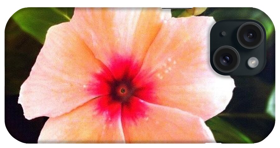 Beautiful iPhone Case featuring the photograph #pink #flower #gang_family #gf_daily by Jason Fang