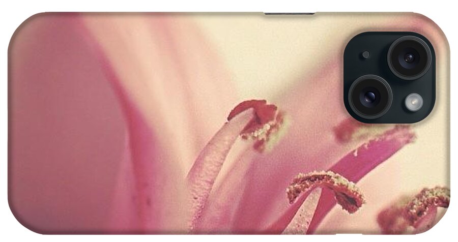 Photo iPhone Case featuring the photograph Pink Flower by Sari S