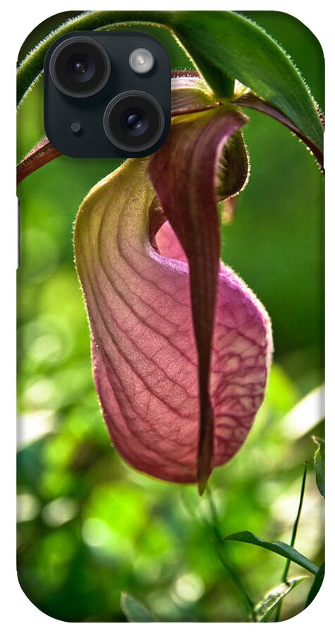 New Hampshire State Wildflower iPhone Case featuring the photograph Pink Lady's Slipper by Robert Clifford