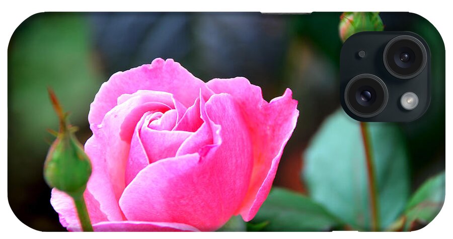 Rose iPhone Case featuring the photograph Pink Rose by Janice Adomeit